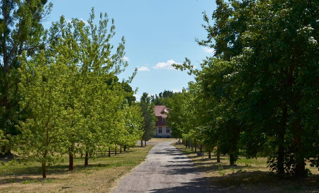 Gospodarstwo Nad Jeziorem Zalom  Екстериор снимка
