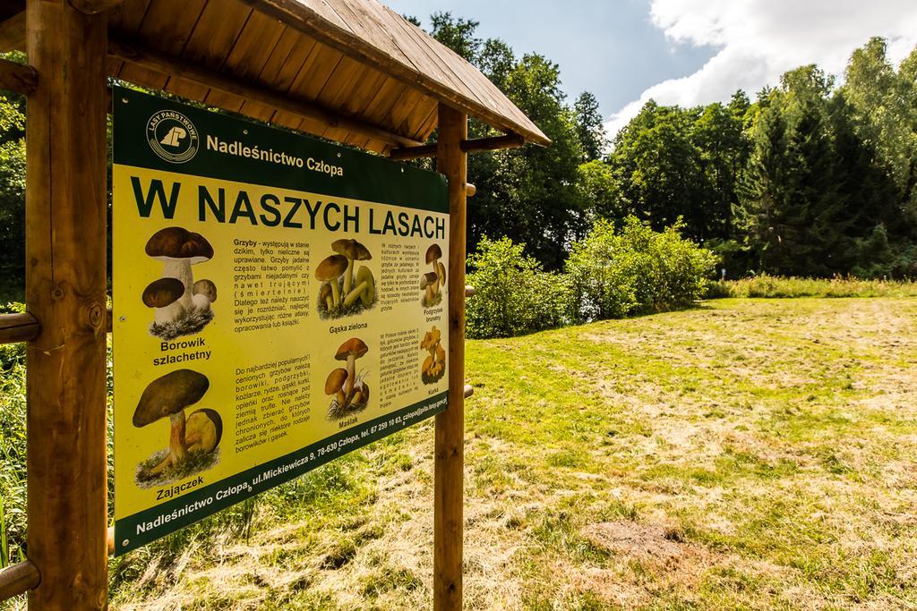 Gospodarstwo Nad Jeziorem Zalom  Екстериор снимка